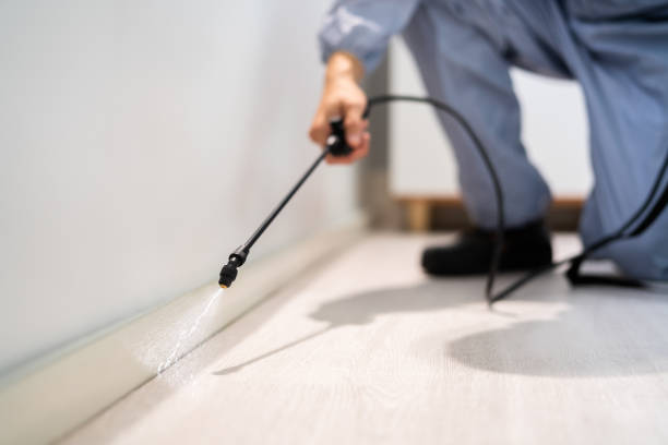 Licensed Cockroach Control service in Marshall, VA - Nex Pest Control