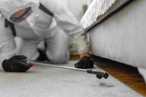 Professional Cockroach Control technician working in Marshall, VA