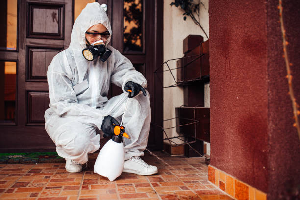 Reliable Cockroach Control contractor in Marshall, VA by Nex Pest Control