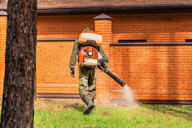 Top rated local Cockroach Control specialists in Marshall, VA